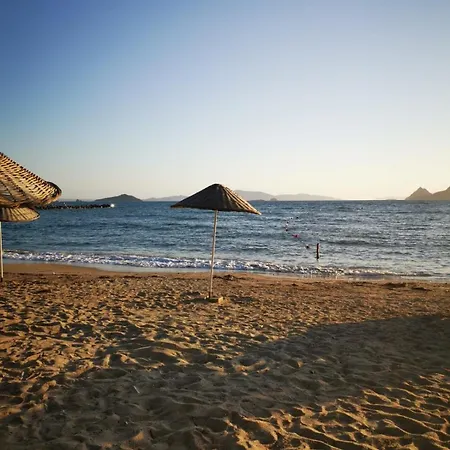 300m To 2 Bedroom Garden Floor Flat With Pool A1 - Yeni Duenya Bodrum